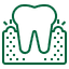 Periodontics Icon